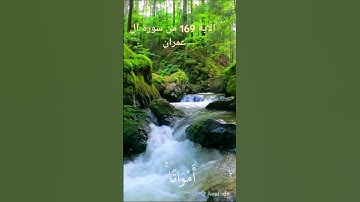 آيات بينات من سورة آل عمران بصوت رائع جدا