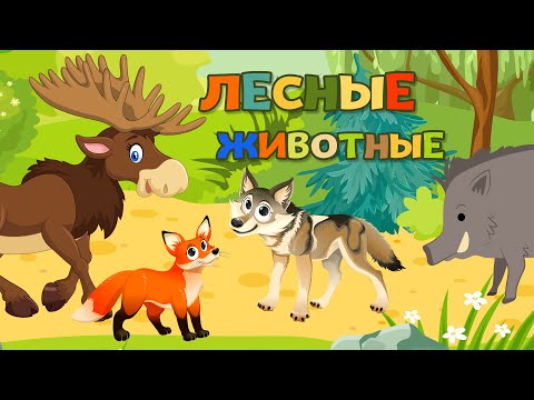 Смотреть мультфильм про лесных животных