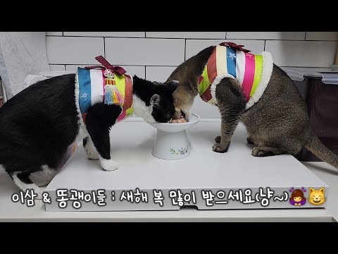 설날엔 뭐니뭐니해도 설빔이지, 다들 새해복 많이 받으세요!