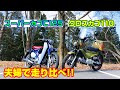 スーパーカブC125とクロスカブ110を夫婦で乗ってみた！