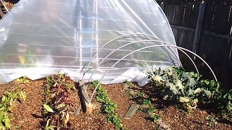 HOW TO BUILD A CHEAP GREEN HOUSE and HOOP HOUSE Part 1