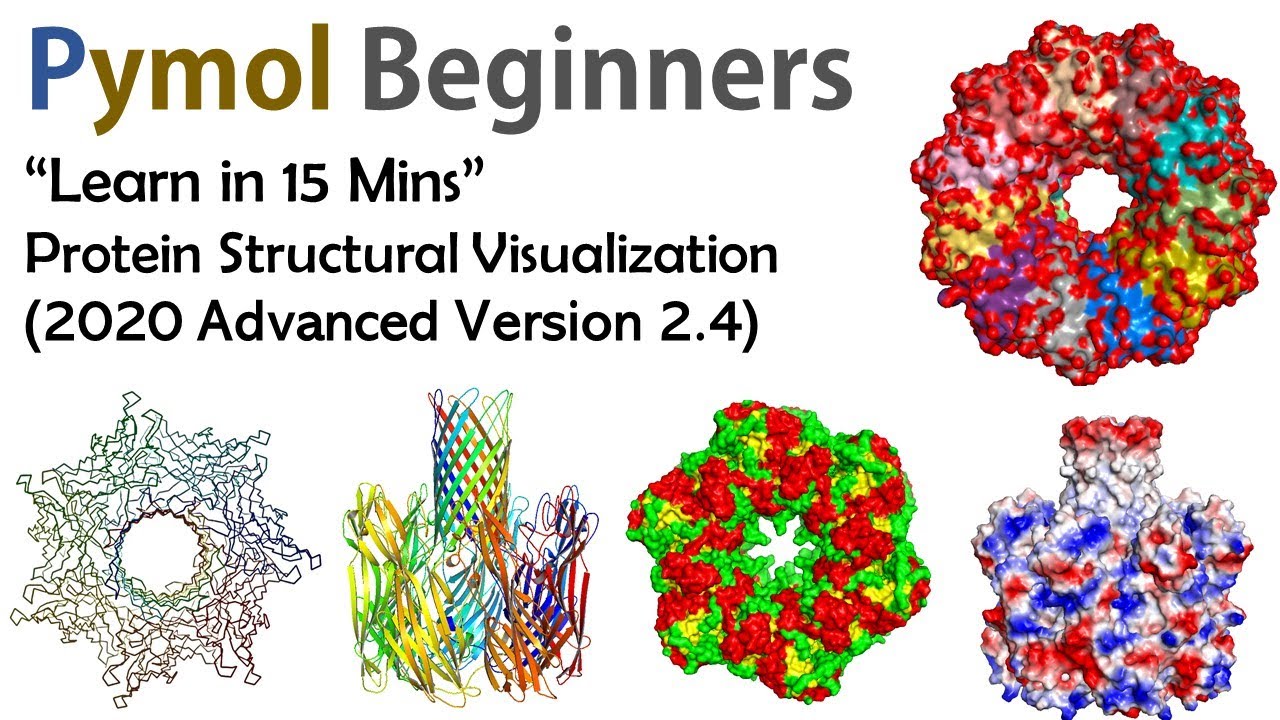 pymol secondary structure assignment