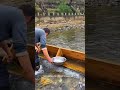 Found the Infinite Fish Glitch! 🐟The Laziest Fishing Hack EVER! #fishing #genius