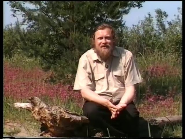 Целебные растения и их применение. часть 3