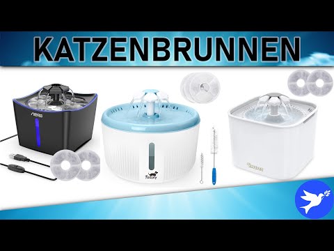 Video: Wie man den besten Hundewasserspender wählt