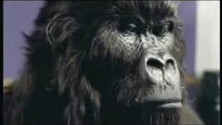 2007 Epica Dor Film - Drumming Gorilla