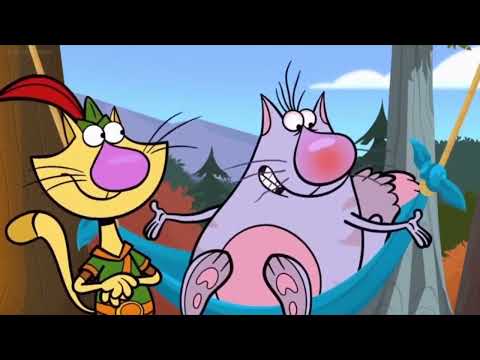 Nature Cat Sneezing Compilation 