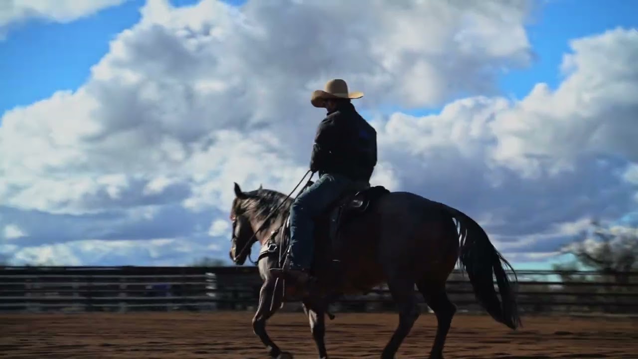 Our Breeding Program: Raising Horses with Heart at Saguaro Stables