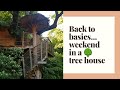 Tree house - Διαμονή σε δεντρόσπιτο