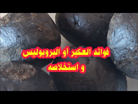 فوائد العكبر أو البروبوليس و طرق استخلاصه اقوى مضاد حيوي