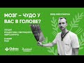 Мозг — чудо у вас в голове? Лекция нейрохирурга Владислава Светлицкого