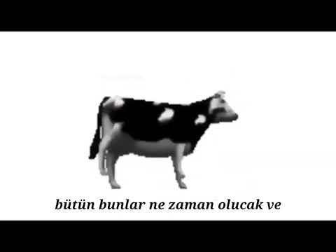 DANS EDEN İNEK     Youtube  İNEK SHOW cow dance     Komik eğlenceli inek videosu (2021)[Alt yazılı]