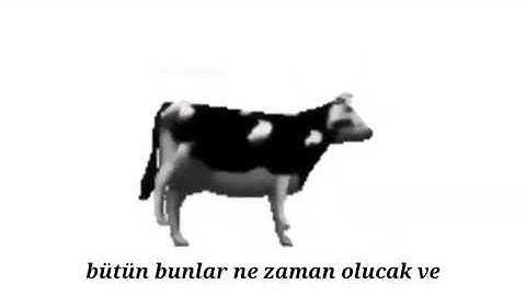 DANS EDEN İNEK     Youtube  İNEK SHOW cow dance     Komik eğlenceli inek videosu (2021)[Alt yazılı]