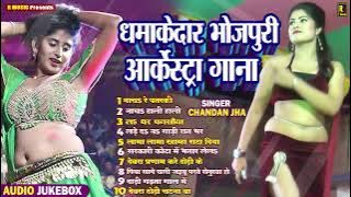 चन्दन झा का ब्लास्ट भोजपुरी गाना 2026 - #New Hit Song - Chandan Jha - Top 10 Arkestra Song - Jukebox