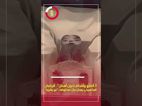 3 أصابع وأقدام بدون أسنان البرلمان المكسيكى يعرض جثث لمخلوقات غير بشرية