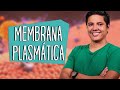 MEMBRANA PLASMÁTICA - CITOLOGIA - Estrutura - Prof. Kennedy Ramos