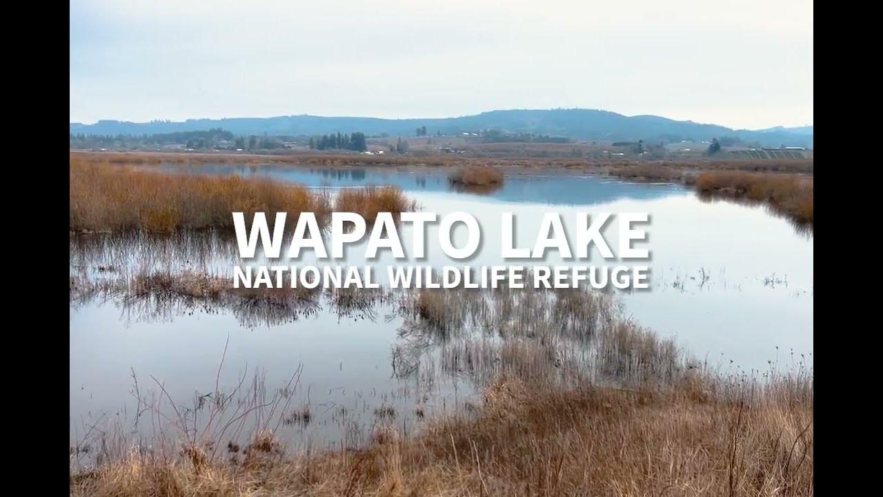 Wapato Lake National Wildlife Refuge YouTube