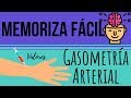 Memoriza Fácil la Gasometría Arterial  | Mentes Médicas