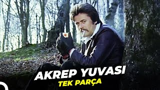 Akrep Yuvası | Cüneyt Arkın Banu Alkan Eski Türk Filmi Full İzle