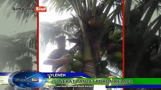 Aksi Nekat Lucu Banget Panjat Pohon Kelapa Kurang Kerjaan Aksi Nekat Lucu Banget Panjat Pohon Kelapa Kurang Kerjaan