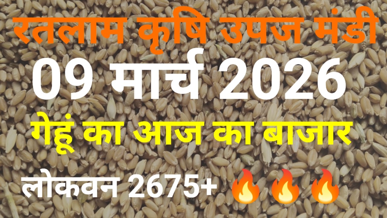 रतलाम मंडी गेहूं का भाव आज। Ratlam Mandi gehun bhav today। 9 मार्च 2026।