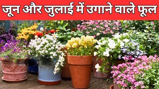 जून और जुलाई में उगाने वाले फूल / Flowers to grow in June and July