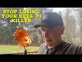 Stop losing your bees the 1 killer