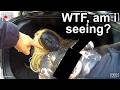 Police Can't Believe What This Drunk Driver Was Hiding