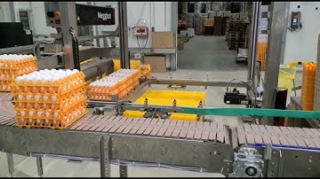 Meggbot TP100 eggs packing center