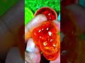 #asmrkids #funnykidsvideo