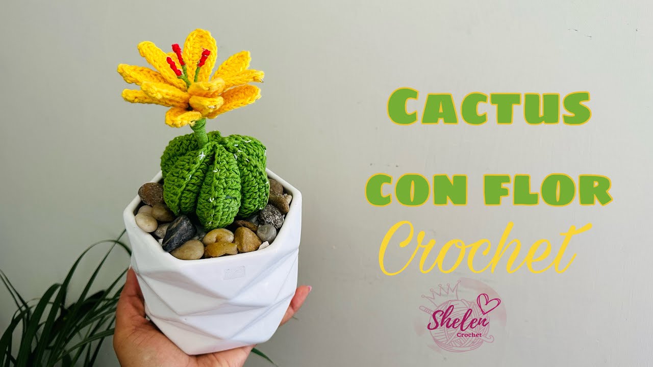 Maceta Cactus con Flor a Crochet 🌵 | Tutorial Fácil Paso a Paso