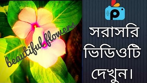 1Minute Photo Edit | Snapseed Photo Editing Tutorial Step by Step GO Tech #461