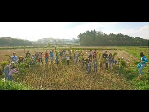 自然行動 桃園農村體驗 桃園親子活動