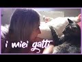 I MIEI GATTI ☾ Quanti sono, cosa significano per me, cosa facciamo insieme