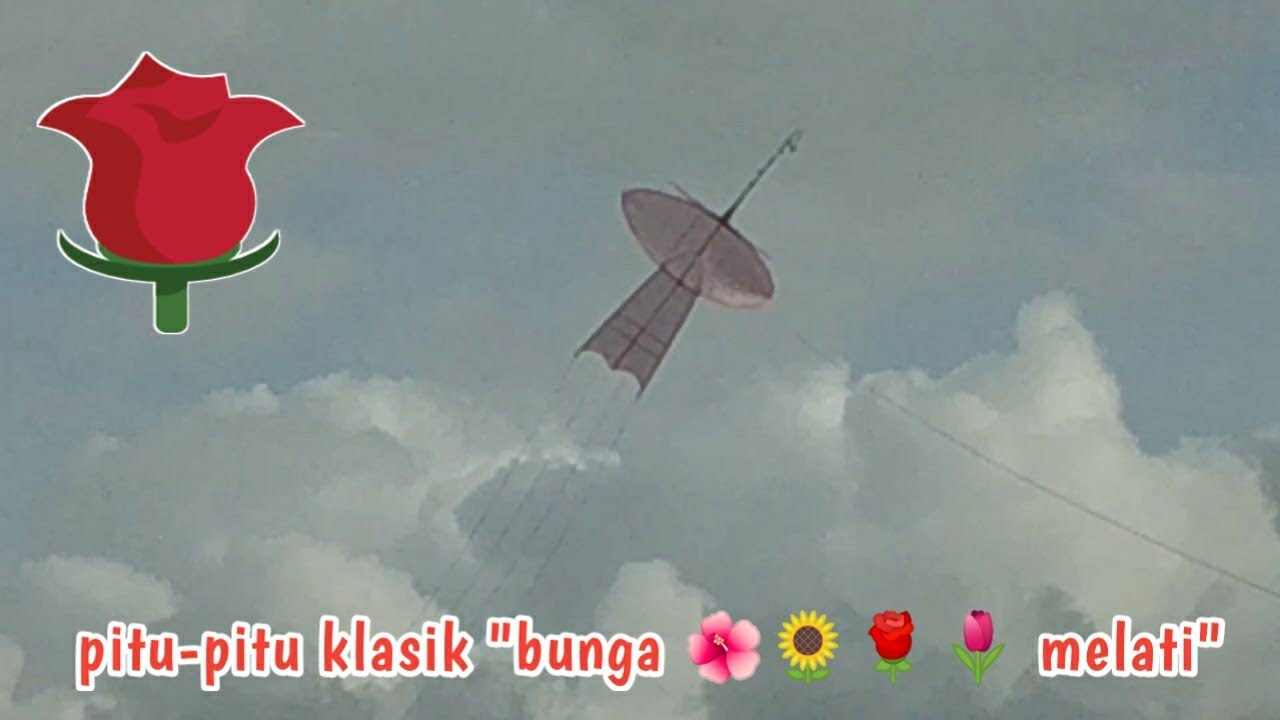 Pitu-pitu Bunga 🌺🌻🌹🌷Melati Terbiasa Ikut Lomba