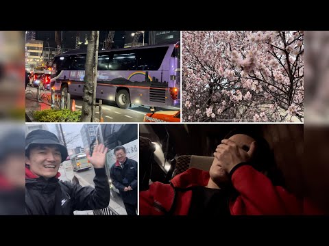 Казах в Японии: Ожидание vs. Реальность. Цветение Сакуры в Японии