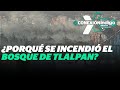 Reportan incendio en zona alta del Bosque de Tlalpan | Reporte Indigo