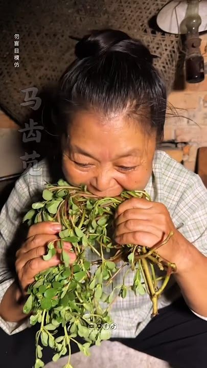 Download lagu 3 Clay Plants That Are Good for Your Health #facts