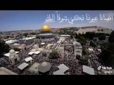 راح يجي اليوم الموعود 