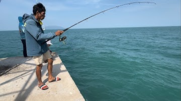 1496 / Trải nghiệm một ngày ra trụ điện câu cá biển (phần 1)