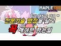 [디마] 메이플스토리: 명장 달았어? 그럼 '이거' 해야지!!