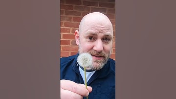 Seed dispersal ISEB 13+ Biology pass your exams @letsgettothemarks