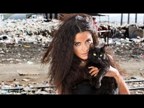 Videó: A Macska Szerelmi Harapásai: Mit Jelentenek?