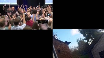 Scientists React to Cat