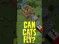 Can cats fly  minecraft shorts