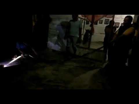Penangkapan ular