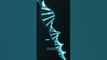 This Is Why You Forget Why You Walked Into a Room!