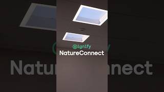 Signify NatureConnect bringing the experience of daylight indoors