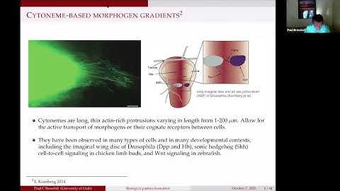 Paul Bressloff: Biological pattern formation: beyond classical diffusion-based morphogenesis