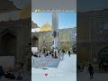 AliAliع Molaali Janamaliali Aliunwaliullah Wiladatemoulaali Noha Najaf Yutubeshorts 